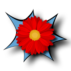 more-color-5fcfc79cc1ab0