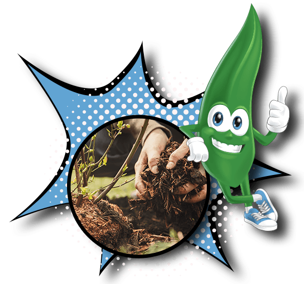 mulch1
