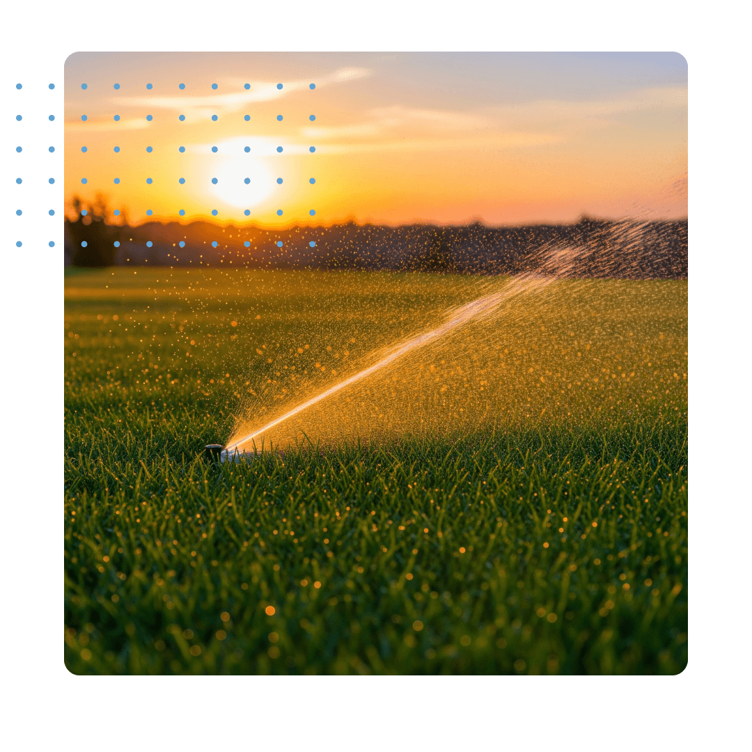 A lush green lawn being watered by a sprinkler at sunset.