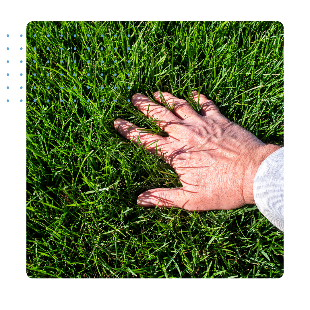 Lawn Care & Landscaping in Chester1