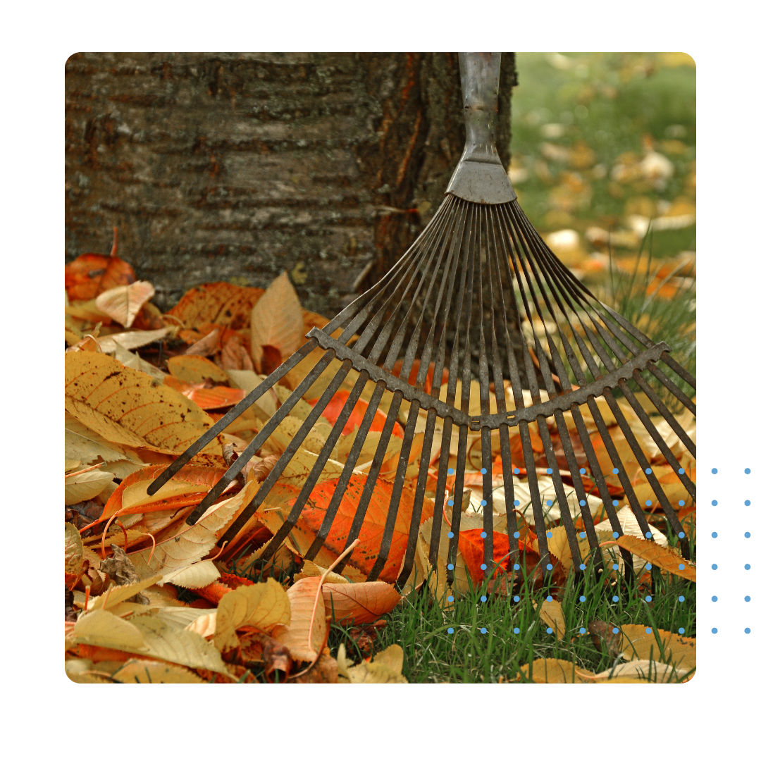 Raking leaves